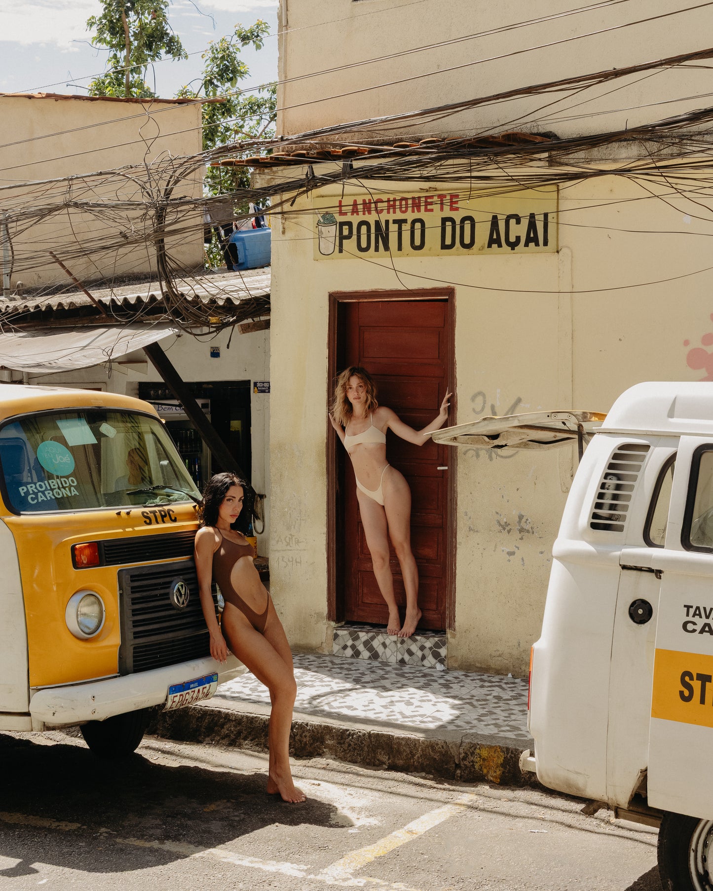 VIDIGAL BURRO